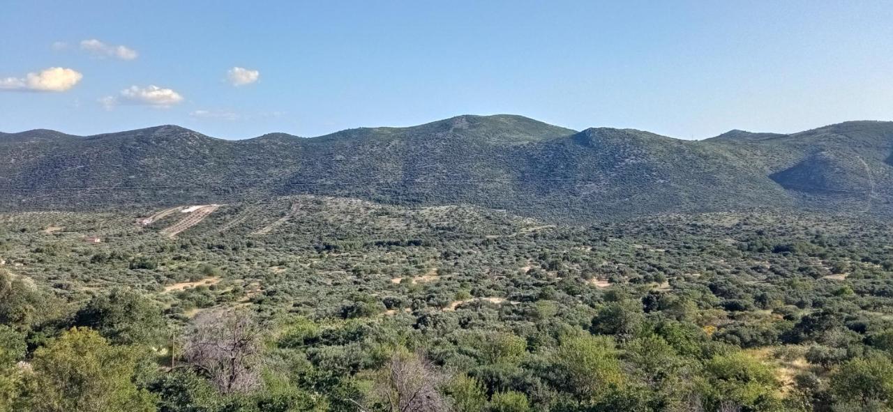 Holiday Home Peran Grebaštica Екстериор снимка